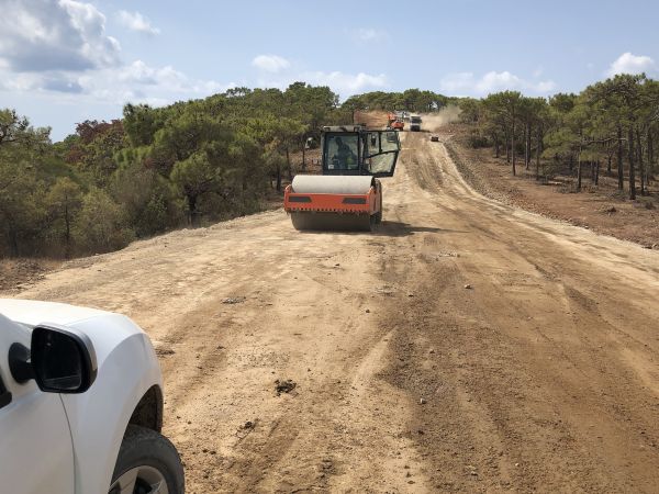 Cost of Driveway Grading in Ellijay