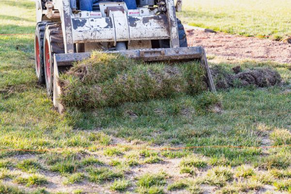 Cost of Landscape Leveling in Ellijay