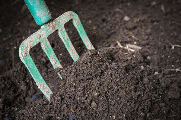 Topsoil Spreading in Ellijay