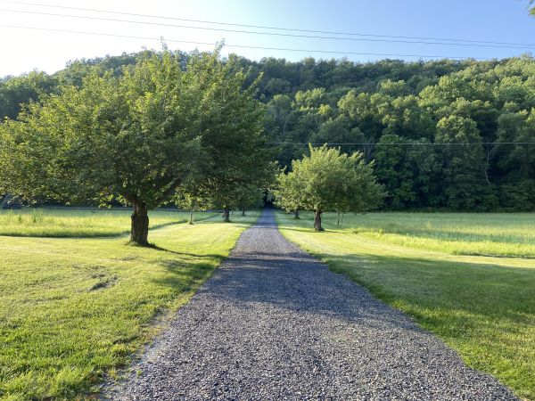 Gravel Road Construction in Ellijay