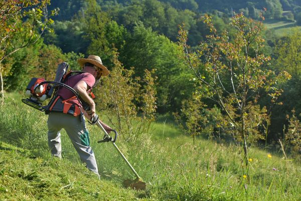 Cost of Slope Trimming in Ellijay